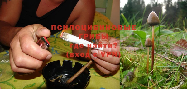 PSILOCYBIN Осташков